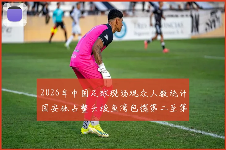 2026年中国足球现场观众人数统计国安独占鳌头梭鱼湾包揽第二至第七位