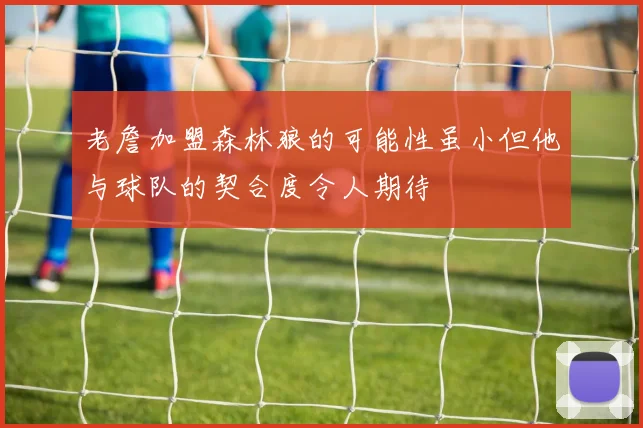 老詹加盟森林狼的可能性虽小但他与球队的契合度令人期待